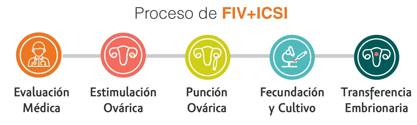proceso-fiv